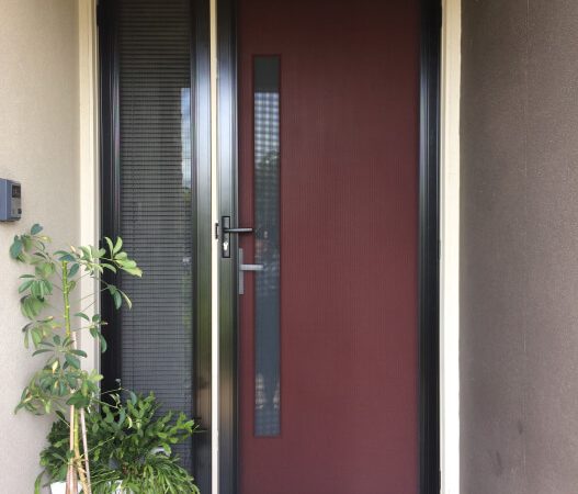 Stainless-Steel-Doors-d1
